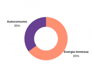 Dati di immissione e autoconsumo