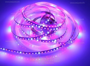 strip led per crescita piante